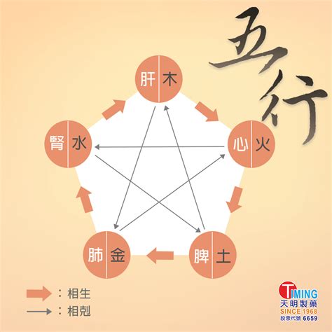 五行關係|中醫知識 